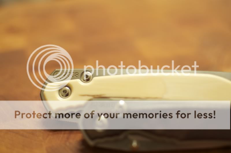 file_zps0167f89e.jpg