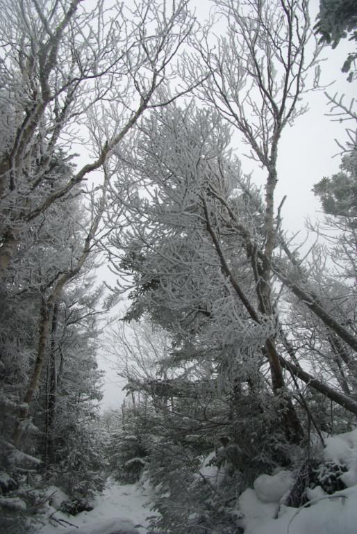 MtLafayette095.jpg