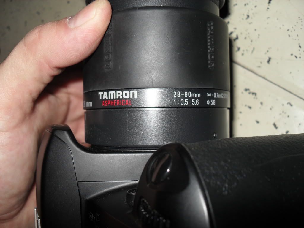 SDC12401.jpg