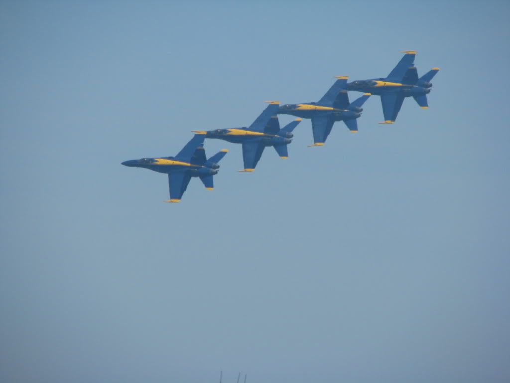 IMG_5438.jpg