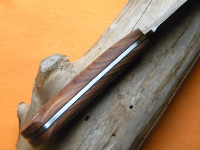 DSCN1883.jpg