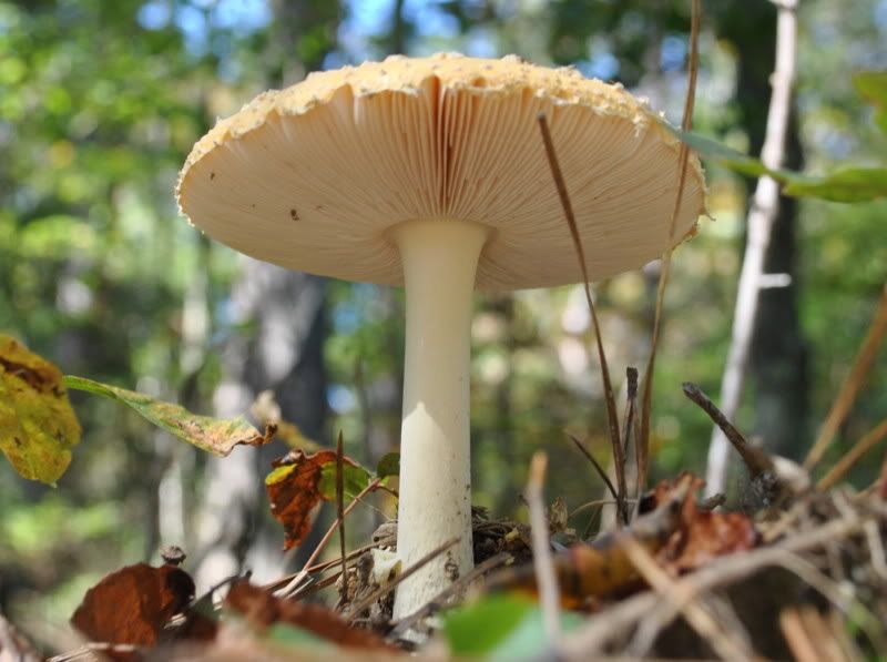 DSC_7735.jpg