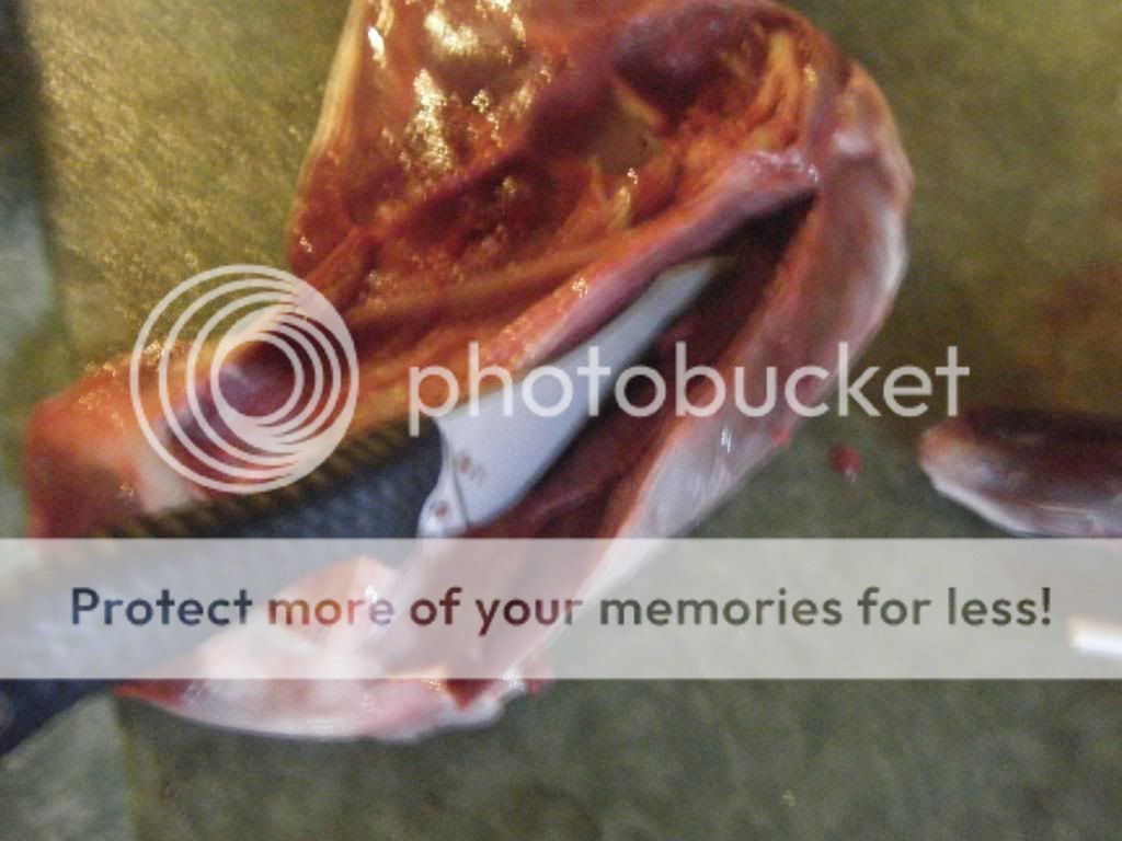 DSCF1363.jpg