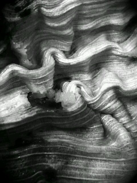 CameraEffects_zpsf0e32233.jpg