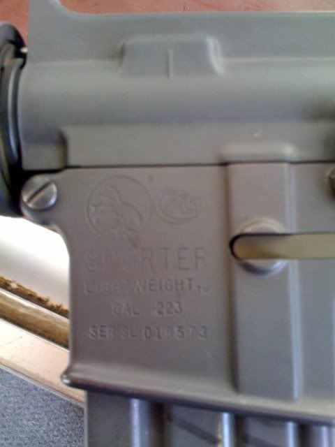 colt3.jpg