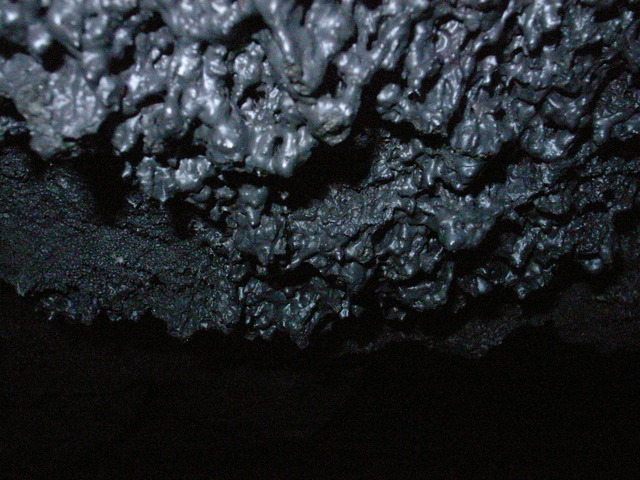 2009.07.04.R0018843.JPG