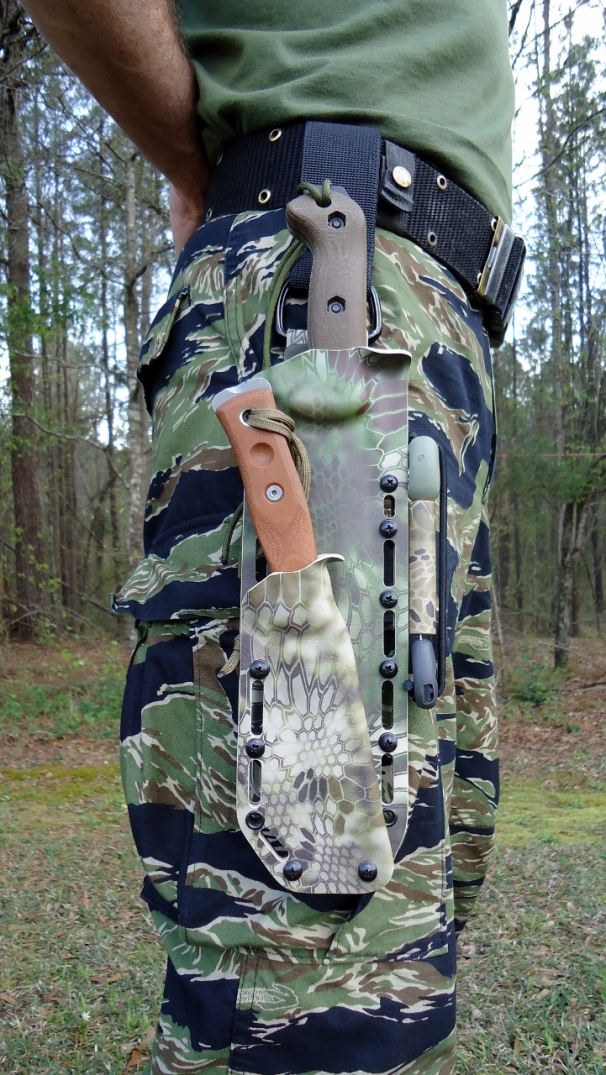 obE7EBY.jpg