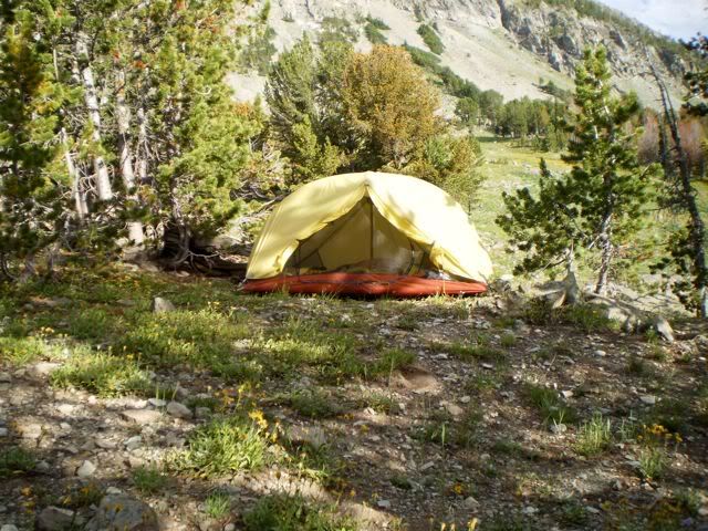tent.jpg