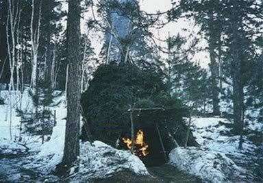 45below_bush_home_99.jpg