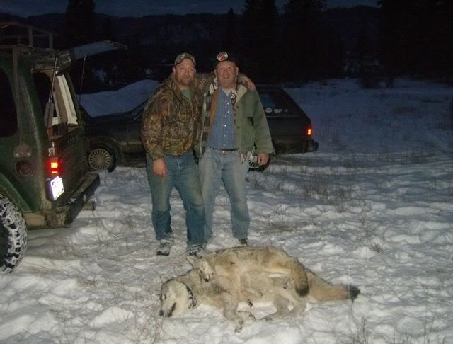 09wolfpictures007.jpg