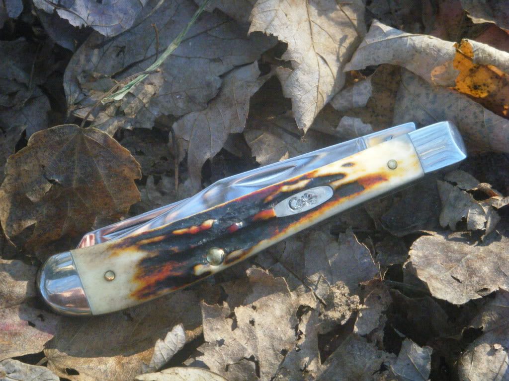 DSCF0582.jpg