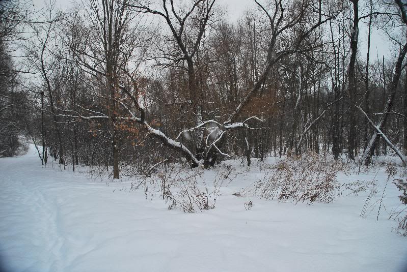 ravine17.jpg