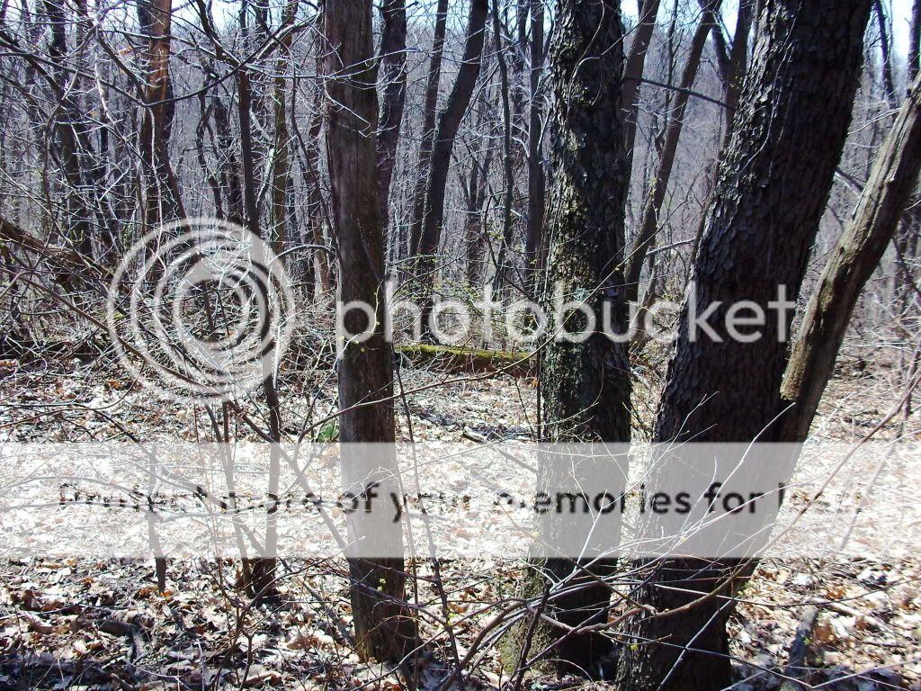 PICT0639.jpg