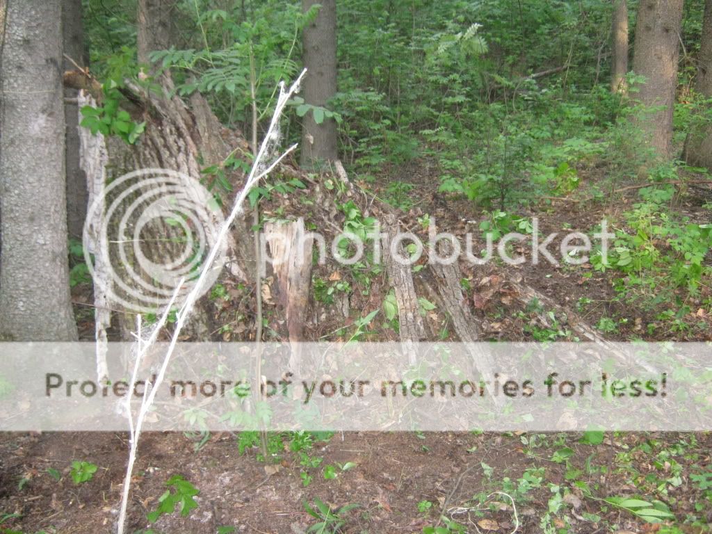 june192010034.jpg