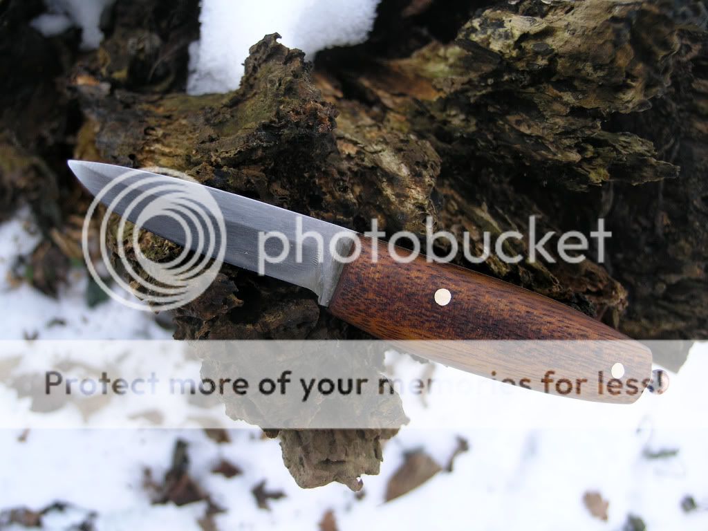 Sl009domanarejenipuukko.jpg