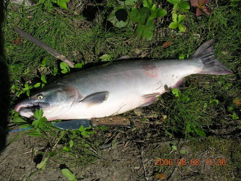 DSCN0422.jpg