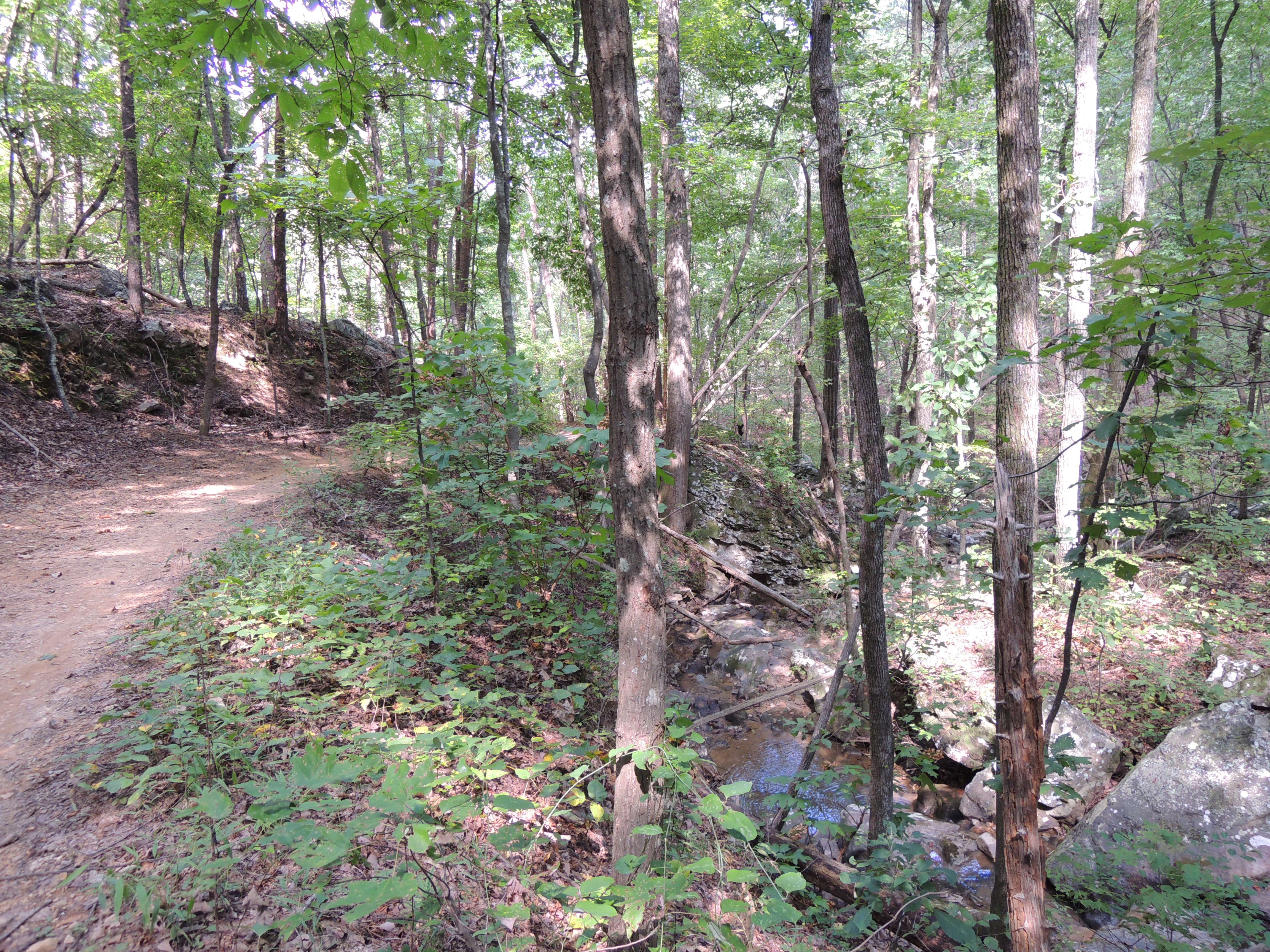 dscn1397y.jpg