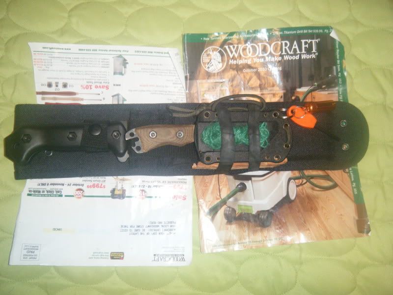 DSCF0617.jpg