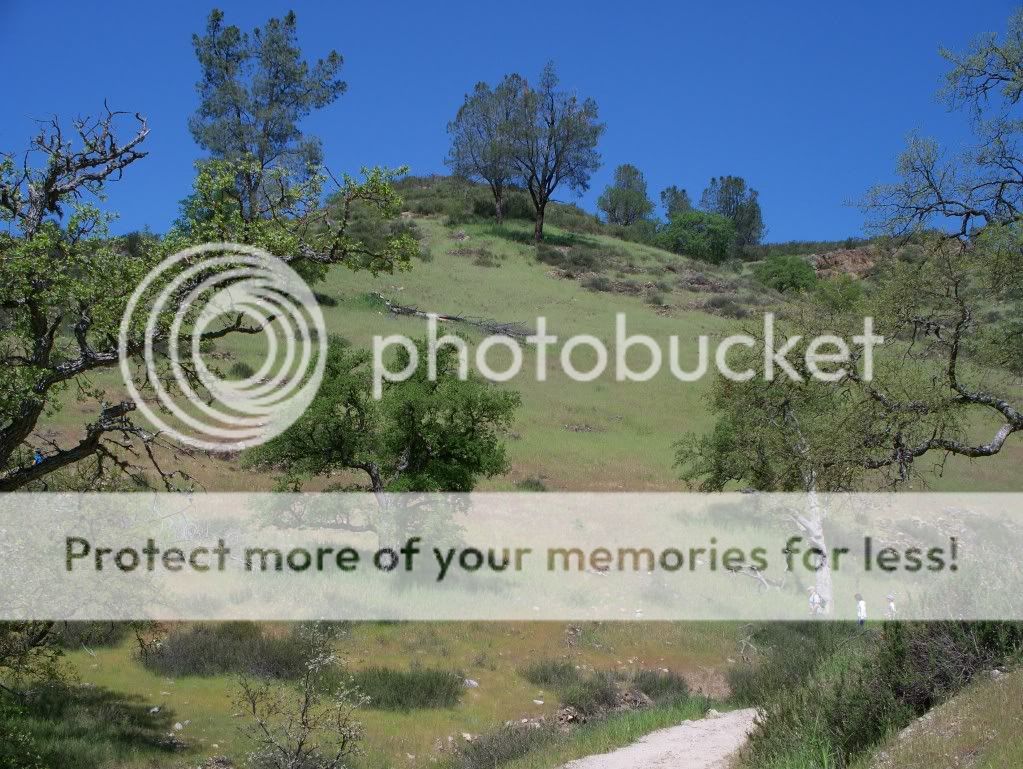 Pinnacles2010003.jpg