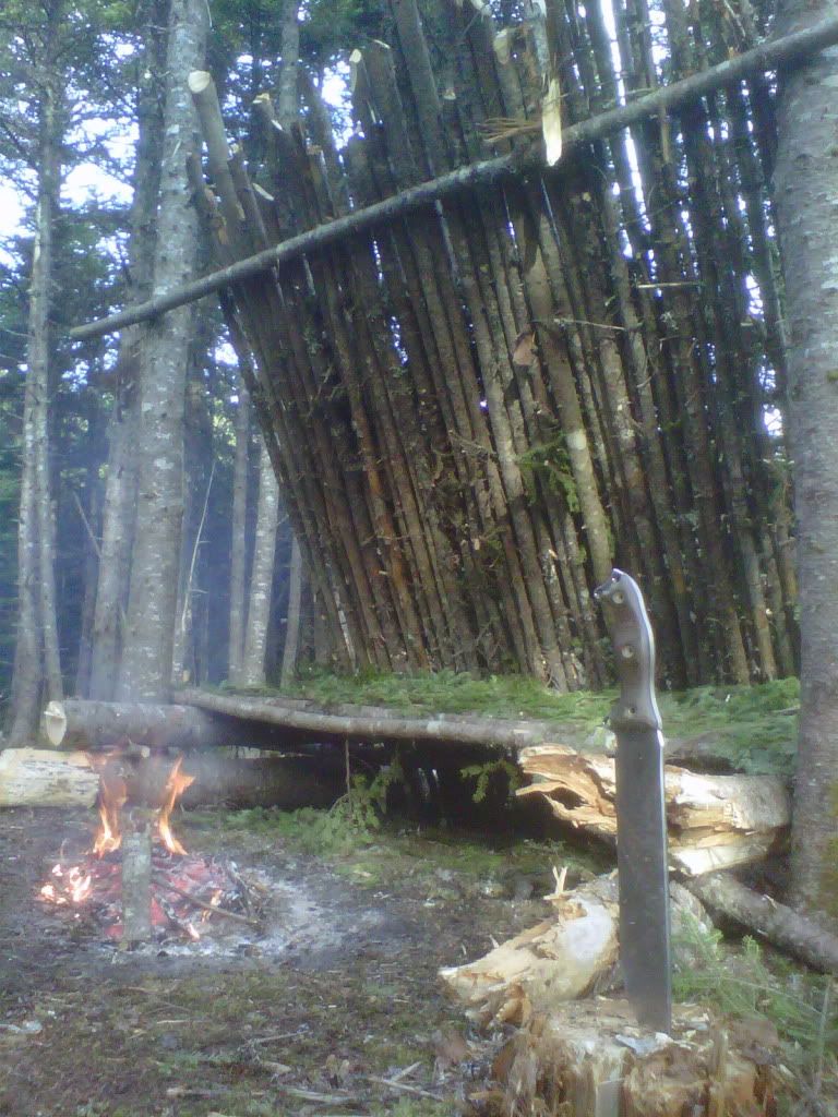 IMG_0523.jpg