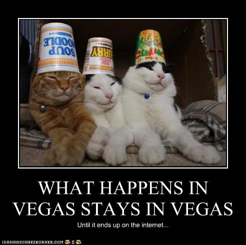 Vegas+Cats.jpg