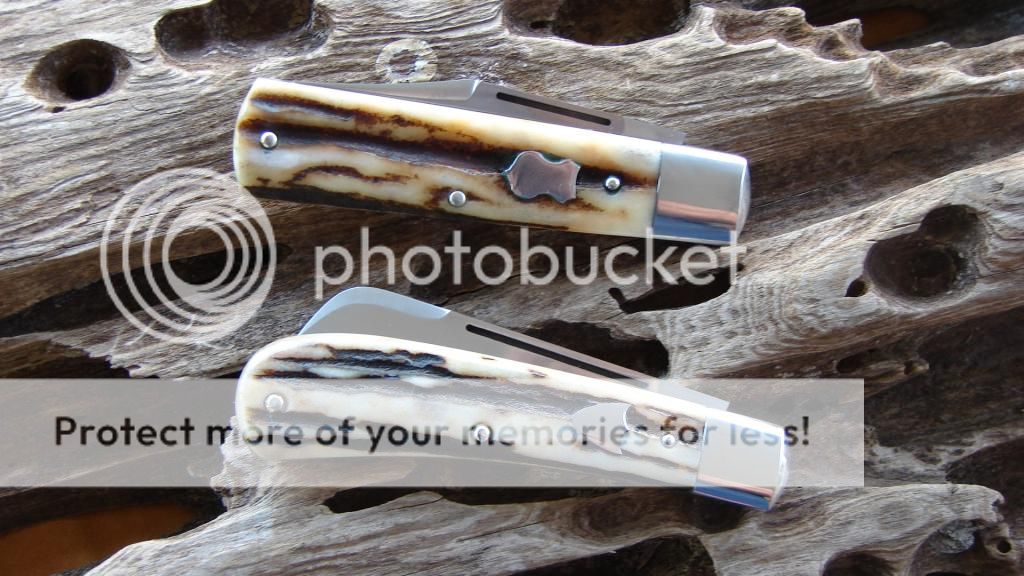 DSC07148.jpg