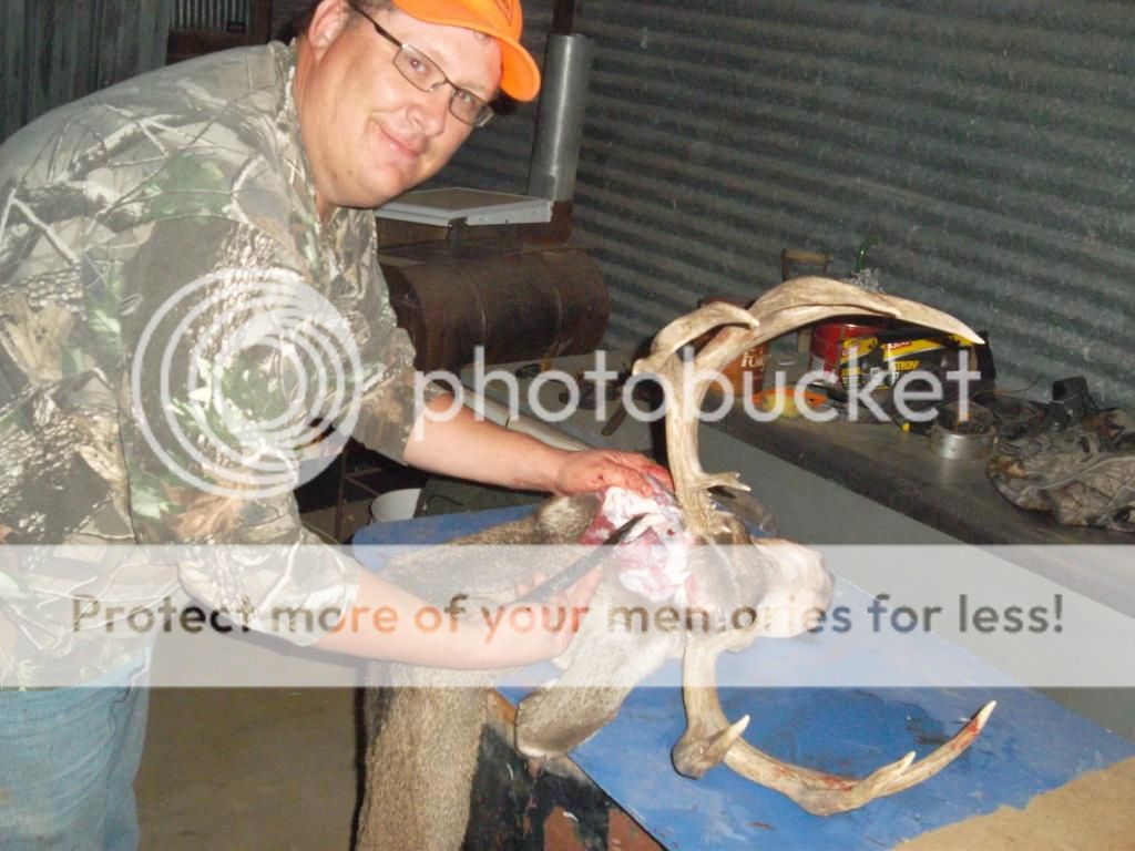 SAM_1685.jpg