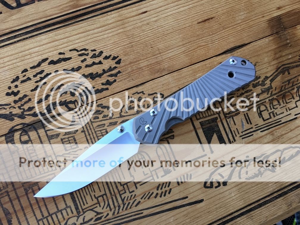 Large%20Starbenza%201.jpg
