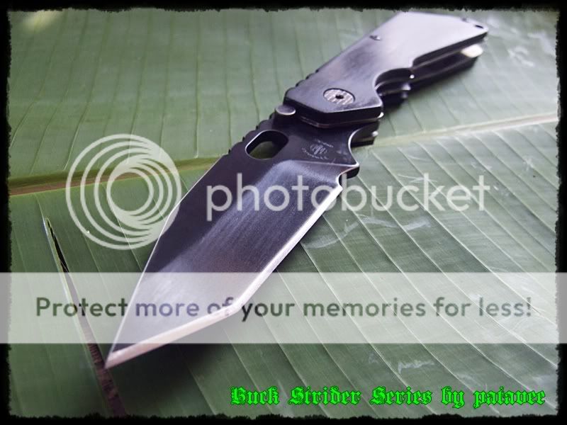 strider002-1.jpg