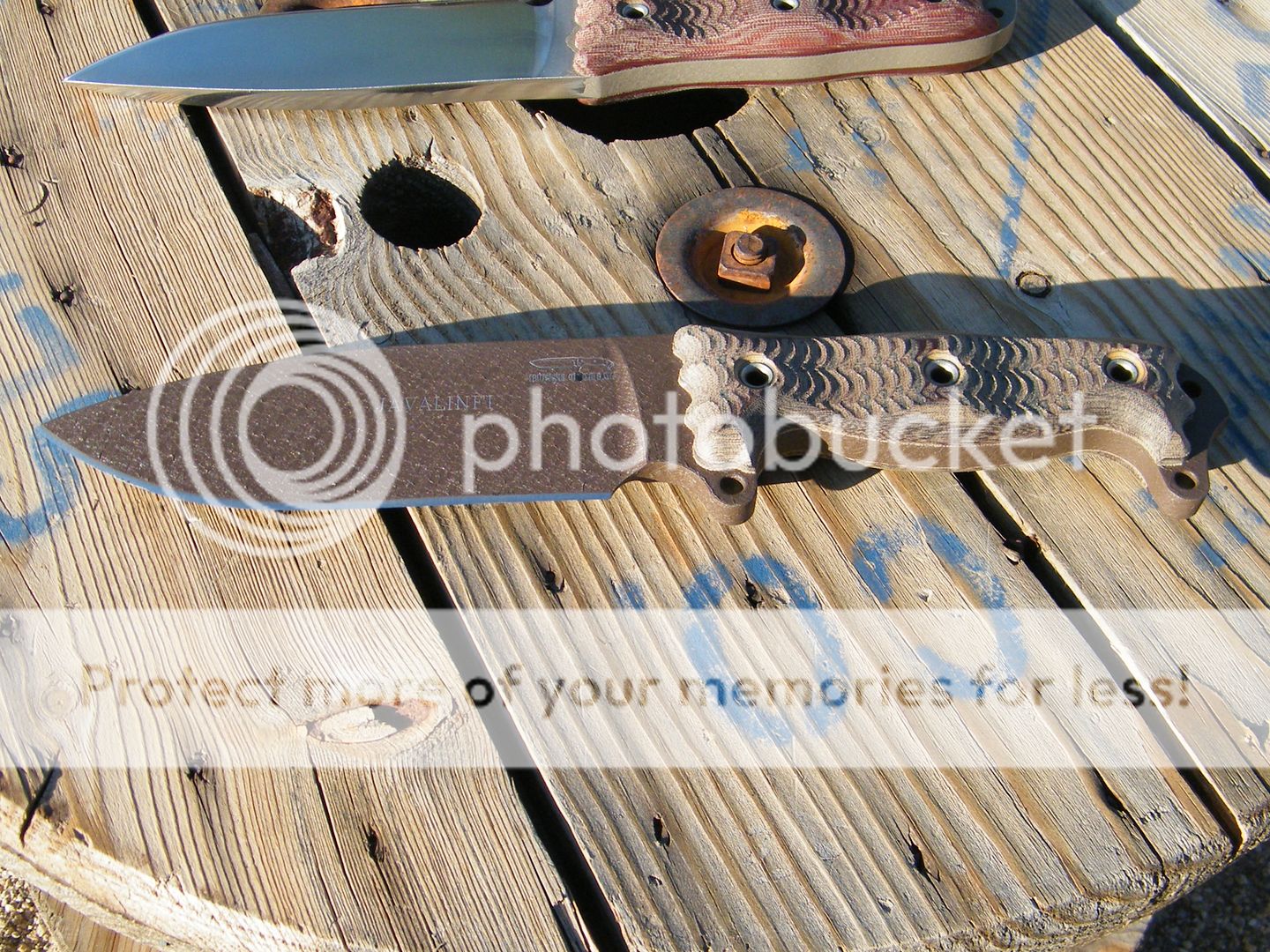 DSCF7900.jpg