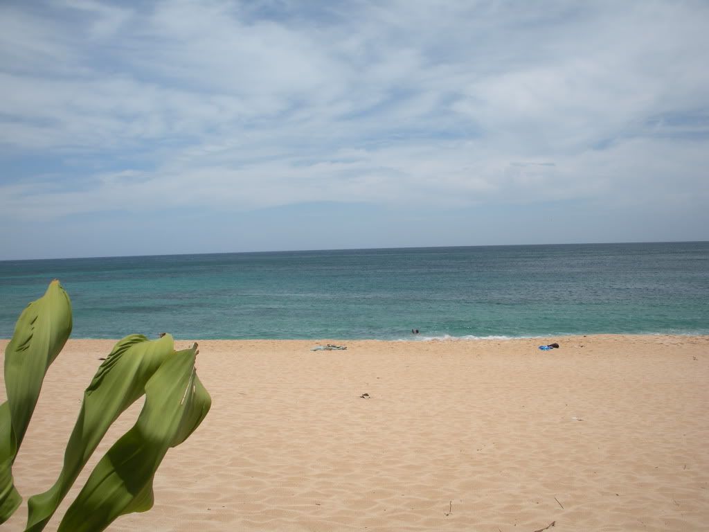 DSCN0493.jpg