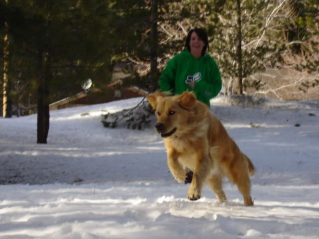 TahoeMarch200838.jpg