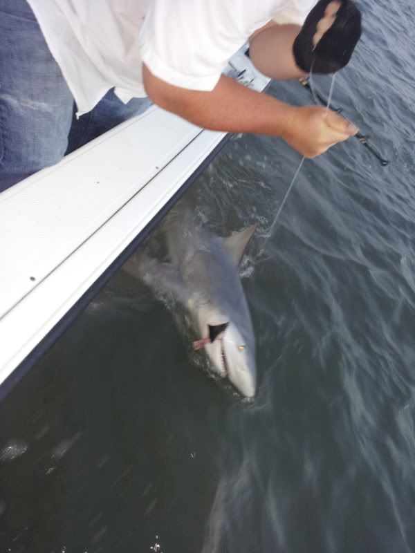 2012-05-09201152.jpg
