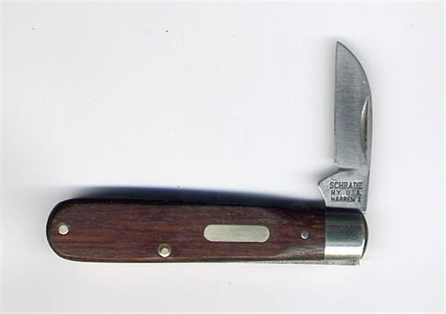 awarren1Small.jpg