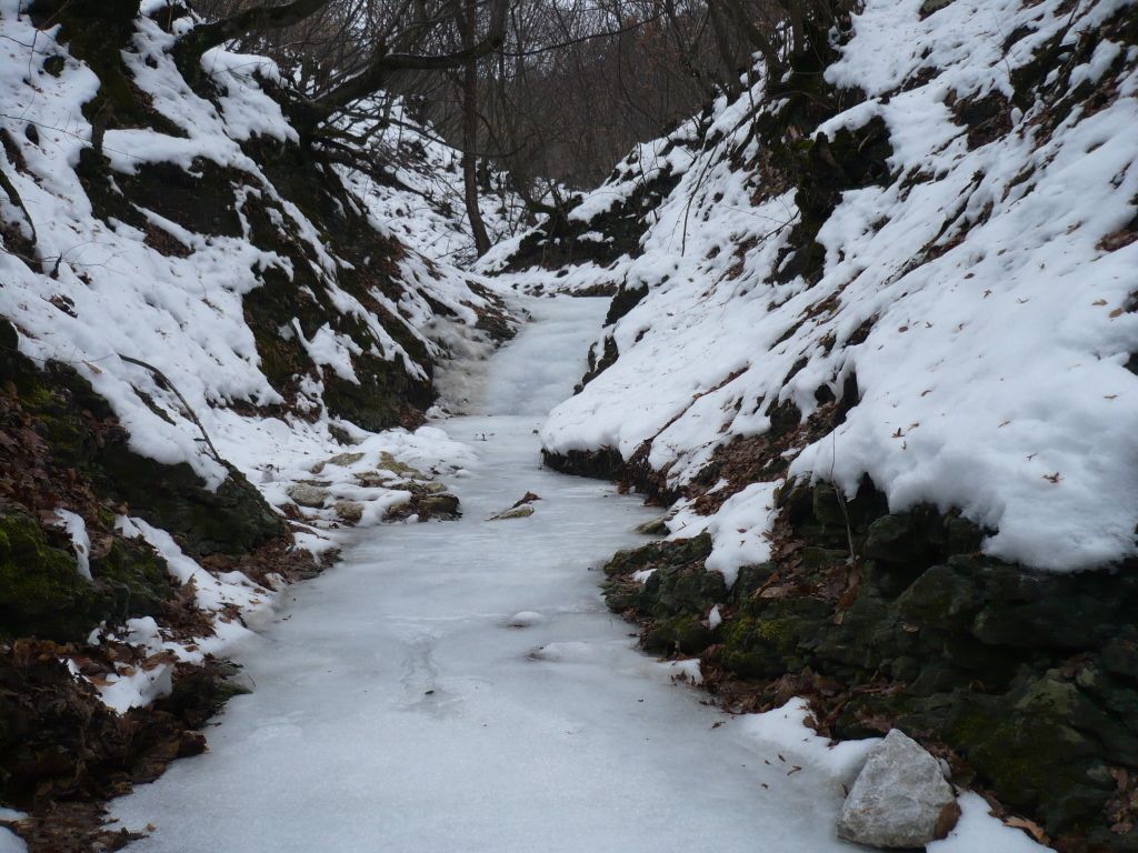 P1050635.jpg