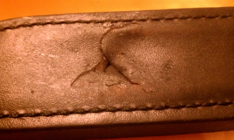 IMAG0173.jpg