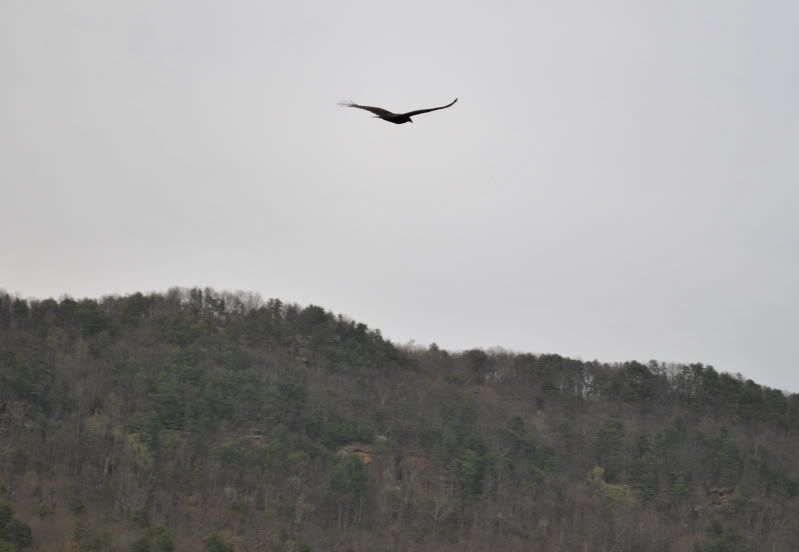 DSC_0968.jpg