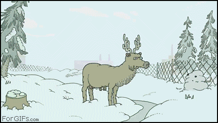 jANkZ3B.gif