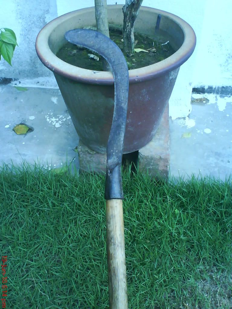 DSC01432.jpg