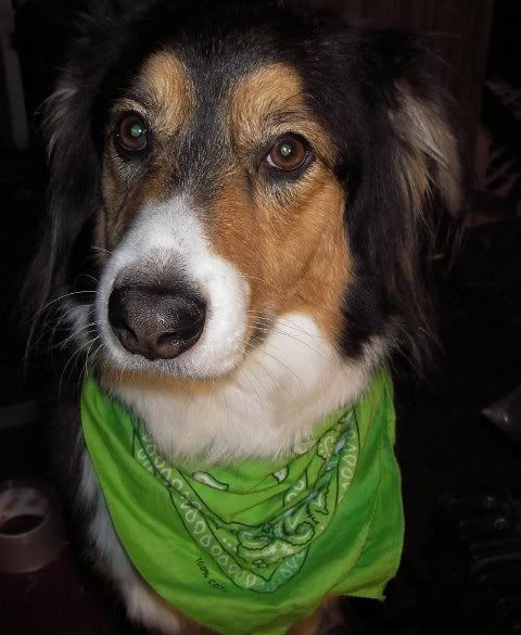 tobysm.jpg