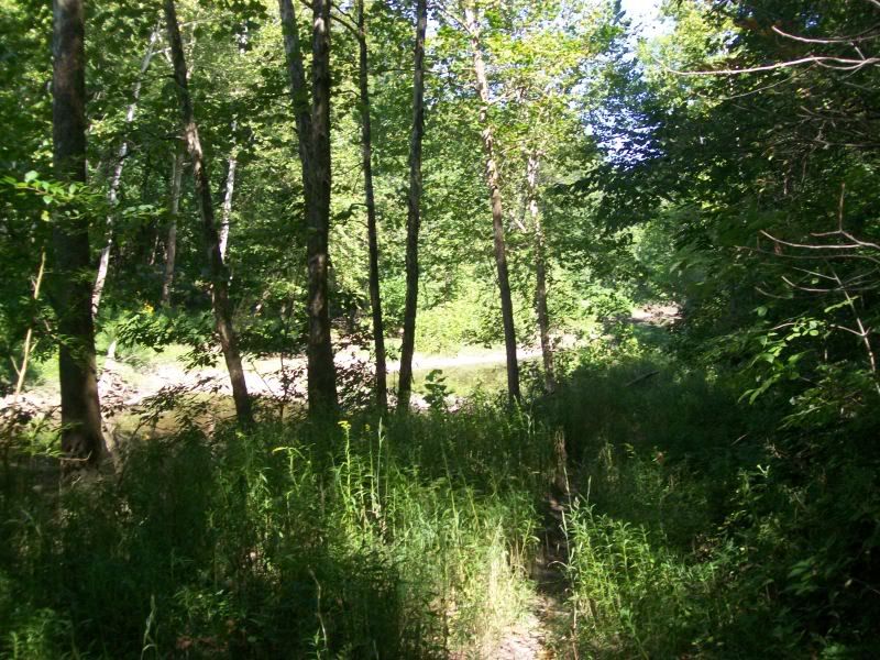 Picture019.jpg