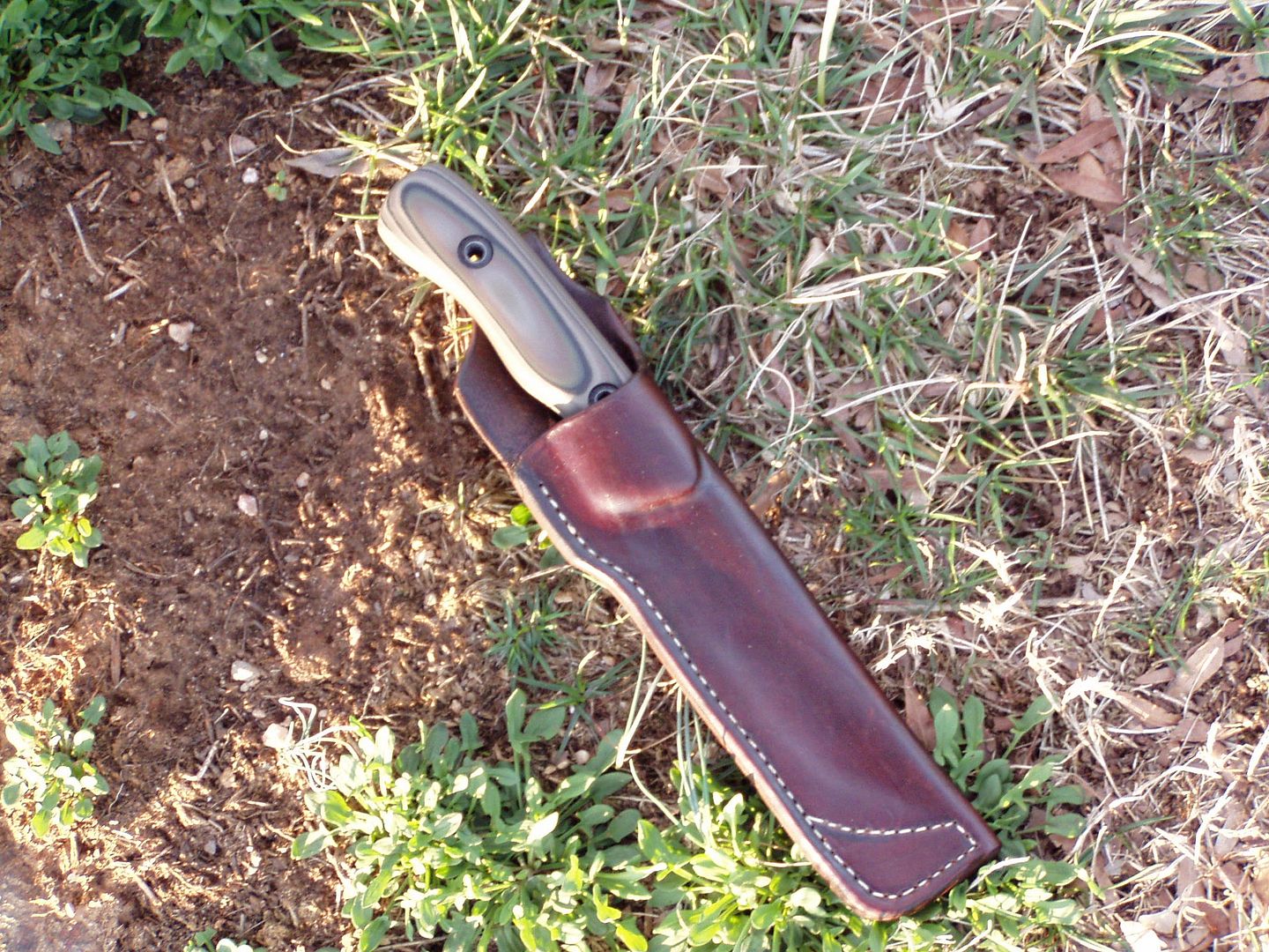 001_zps3f44872e.jpg