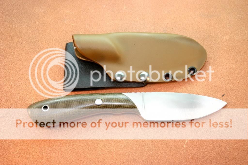 IMG_4207_1_zps67ef45bd.jpg