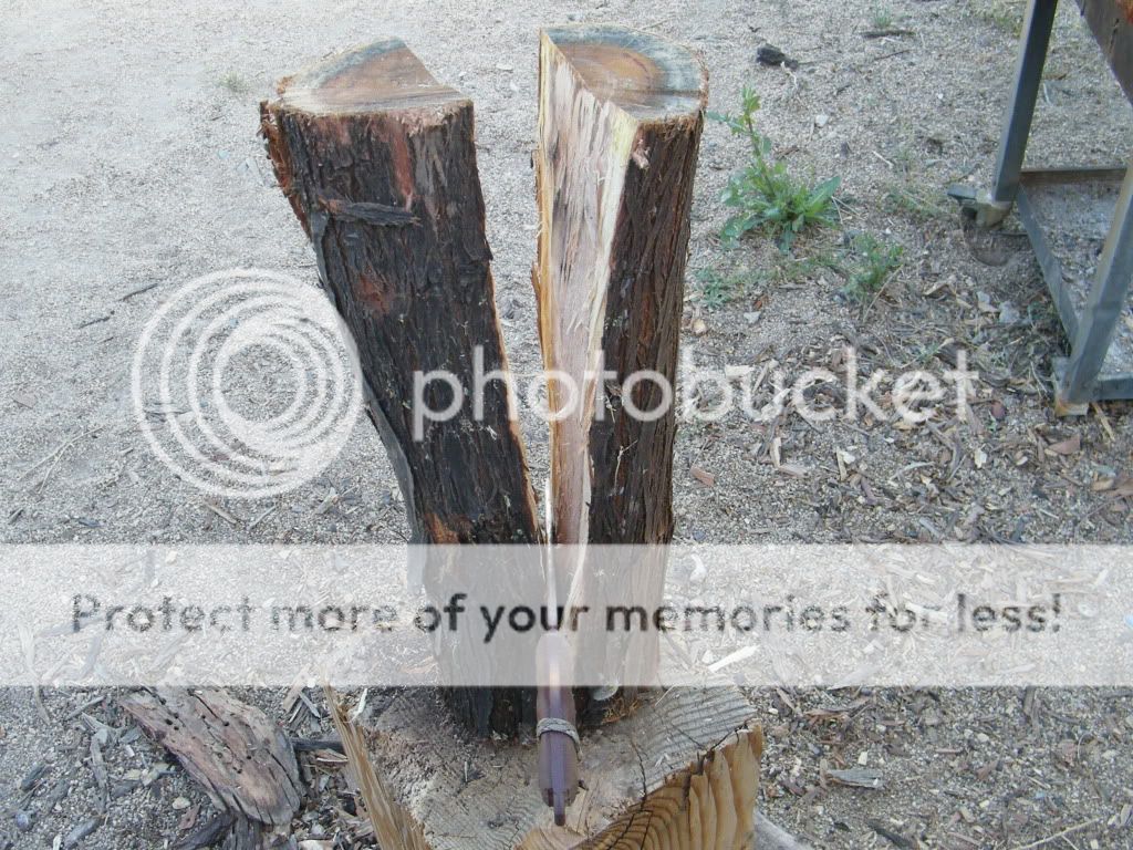 DSCF2841.jpg
