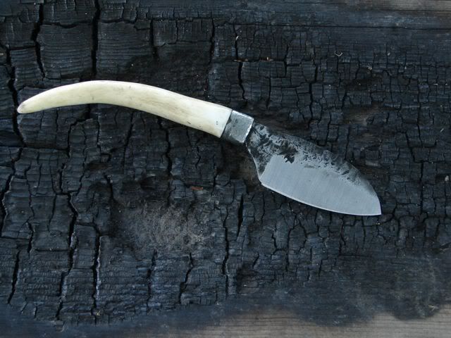 Antler1-1.jpg
