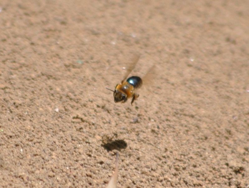 DSC_1118.jpg