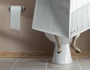 dogtoilet.jpg