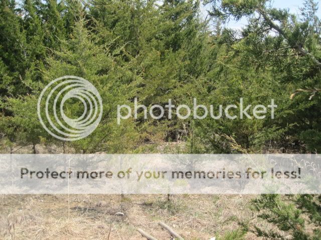 IMG_0906.jpg