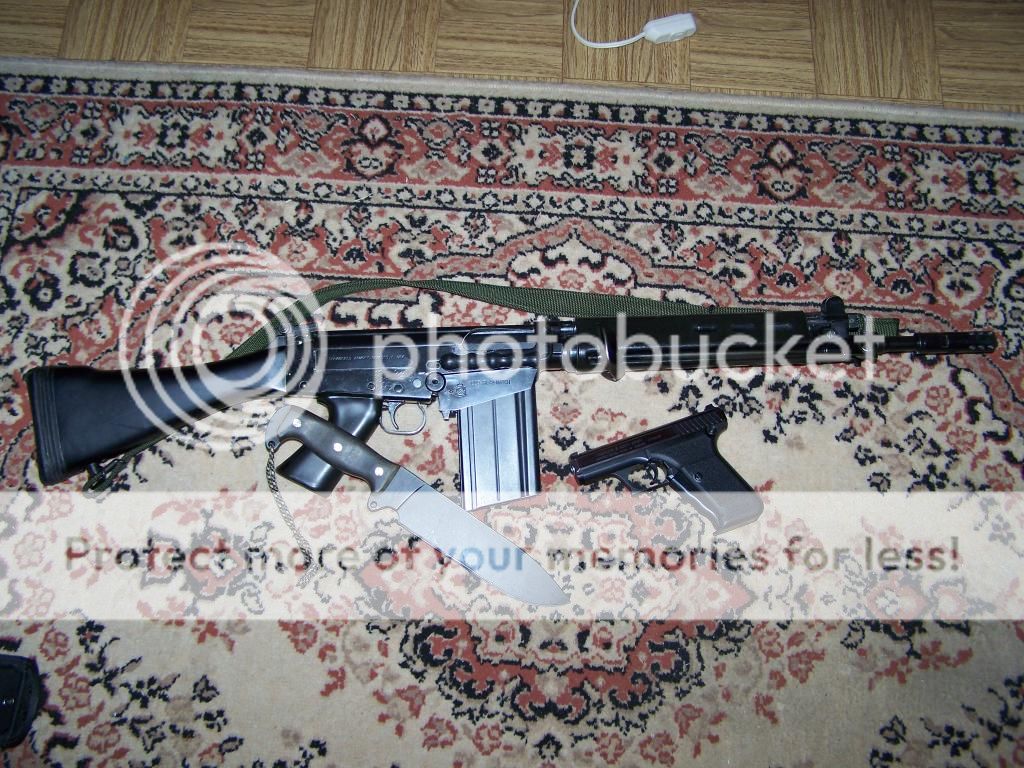 guns395_zpsd82ac26b.jpg