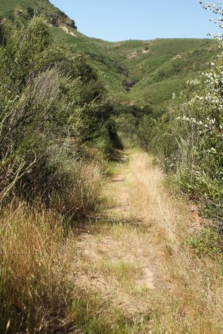 IMG_1204.jpg
